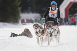 Lenzerheide 2013